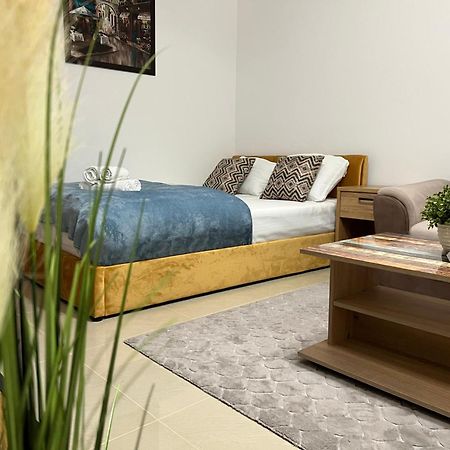 Ndl Downtown Apartment Cluj Napoca Bagian luar foto