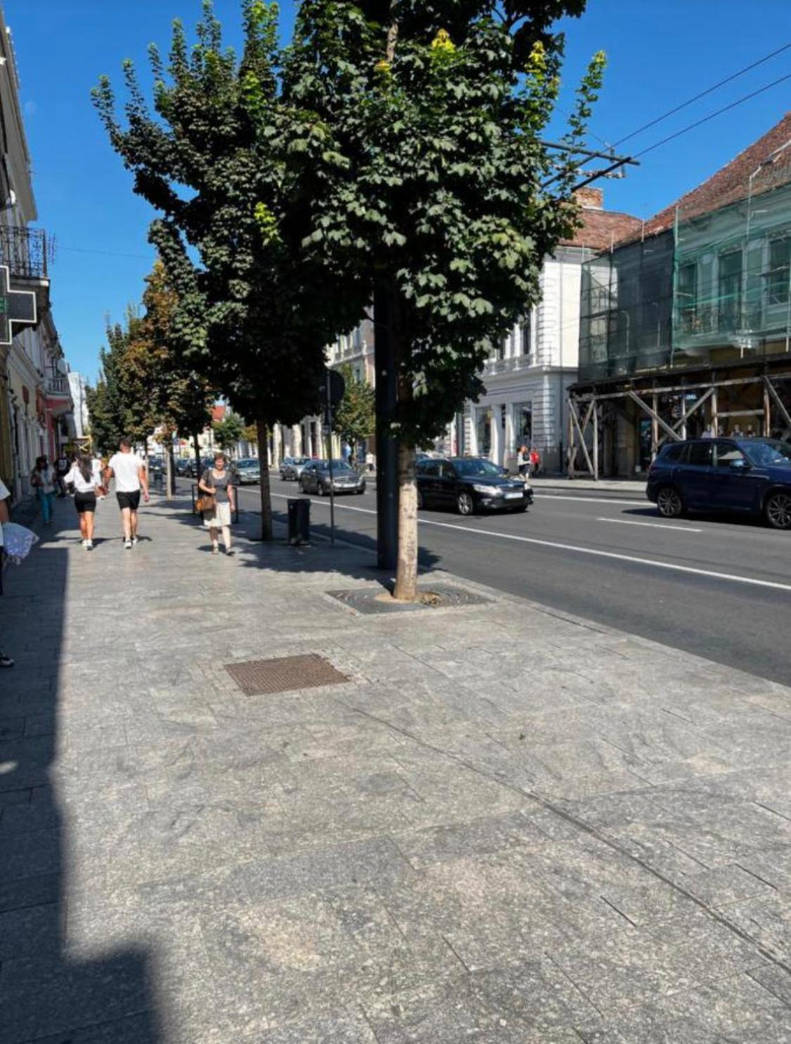 Ndl Downtown Apartment Cluj Napoca Bagian luar foto