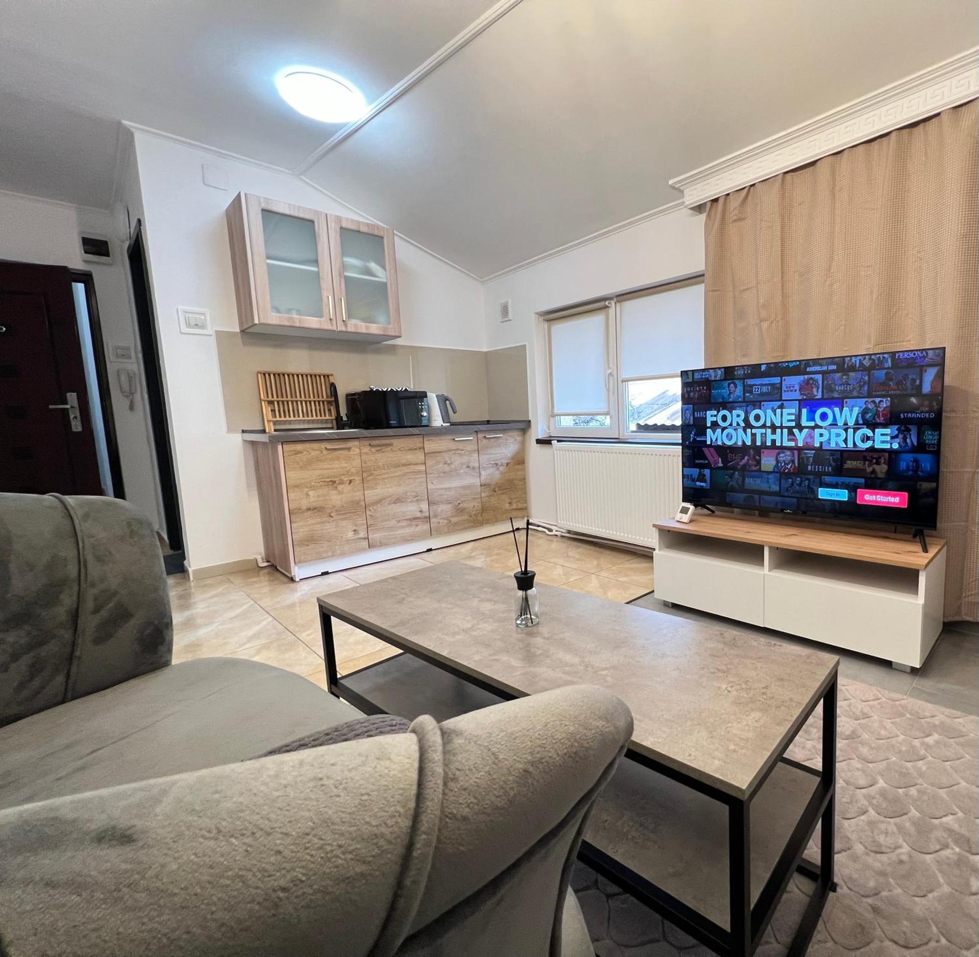 Ndl Downtown Apartment Cluj Napoca Bagian luar foto